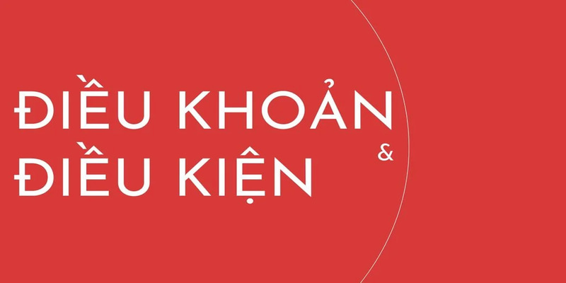 Lý do điều khoản và điều kiện có vai trò quan trọng khi tham gia nhà cái uy tín?